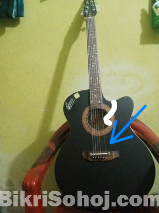 Guitar
